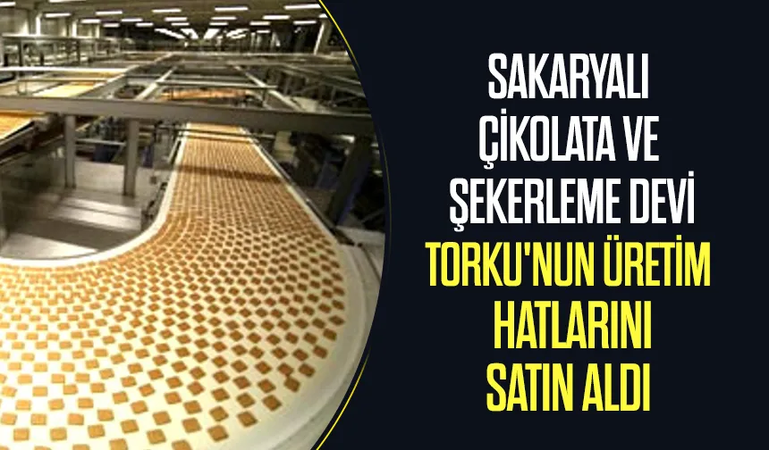 Sakaryalı çikolata ve şekerleme devinden önemli atın alma