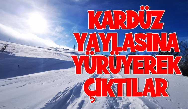 Sakaryalı dağcılar Kardüz Yaylasına çıktı