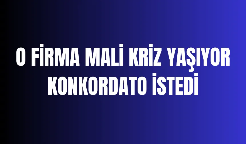 Sakaryalı firma mali kriz yaşıyor; Mahkemeden karar