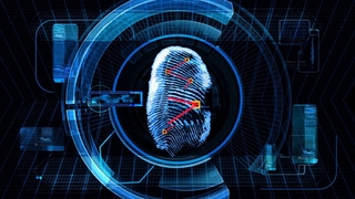 Sakaryalı otomobil firmasında şok; 17 bin kişinin verileri çalındı