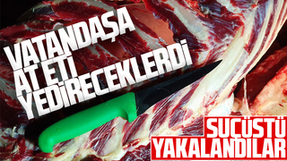 Sakaryalılara at eti yedireceklerdi, yakalandılar