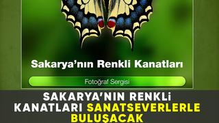 Sakarya’nın Renkli Kanatları fotoğraf sergisi