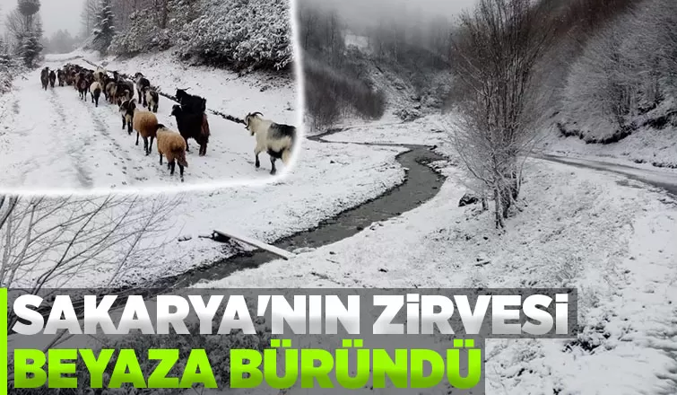 Sakarya’nın yüksek kesimleri beyaza büründü