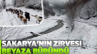 Sakarya’nın yüksek kesimleri beyaza büründü