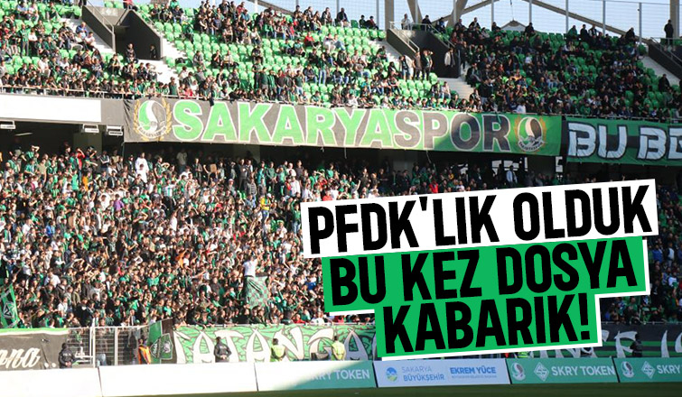 Sakaryaspor'a ceza yolda