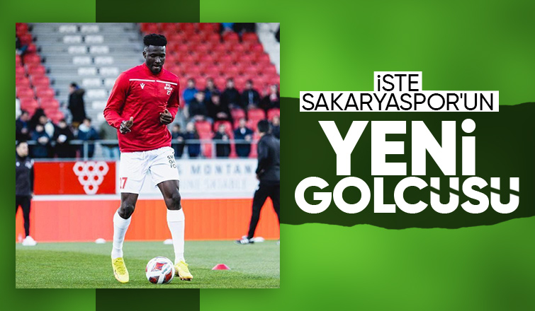 Sakaryaspor'a İsviçre'den forvet