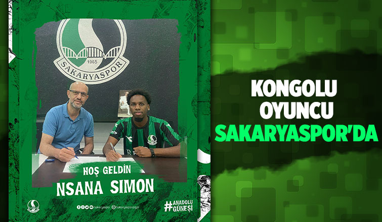 Sakaryaspor'a Slovenya'dan transfer