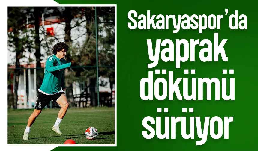 Sakaryaspor'da Emre Demir'den duygusal veda