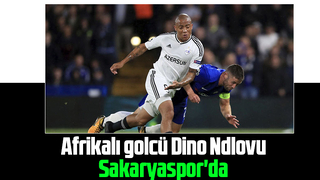 Sakaryaspor o golcüyü renklerine kattı