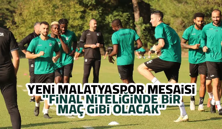Sakaryaspor, Yeni Malatyaspor mesaisinde