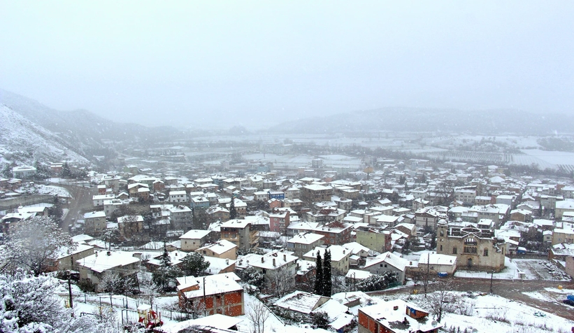 Sakaya Nehri kenarına kuş yuvaları yerleştirildi