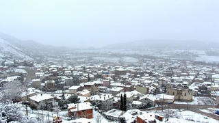 Sakaya Nehri kenarına kuş yuvaları yerleştirildi