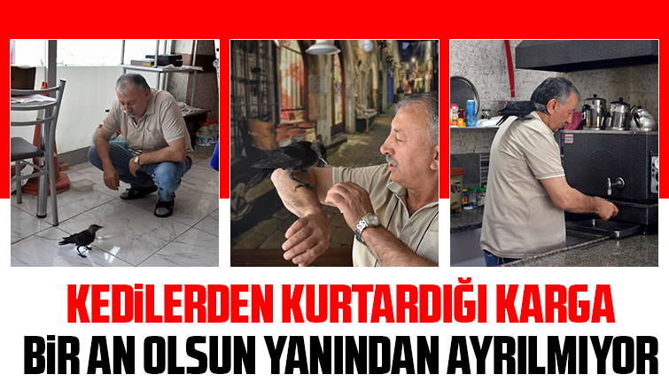 Şakir ismini verdiği kargayla dostluğunu görenler şaşırıyor