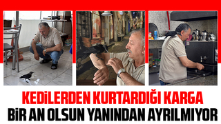 Şakir ismini verdiği kargayla dostluğunu görenler şaşırıyor