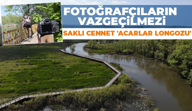 Saklı cennet Acarlar Longozu