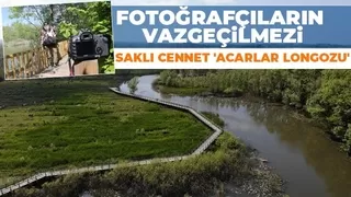 Saklı cennet Acarlar Longozu