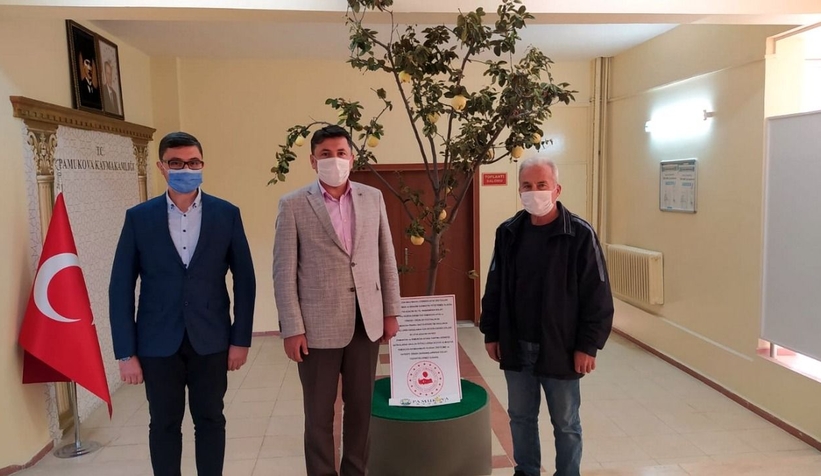 Saksıda yetiştirdiği ayvanın gelirini okula bağışladı