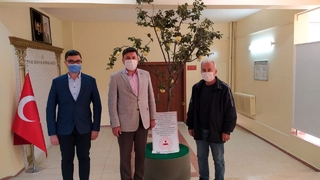 Saksıda yetiştirdiği ayvanın gelirini okula bağışladı