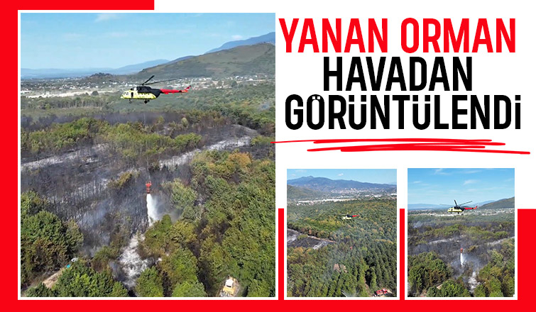 Salihiye'de yanan alan havadan görüntülendi