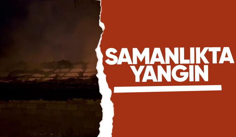 Samanlık yangını büyümeden söndürüldü