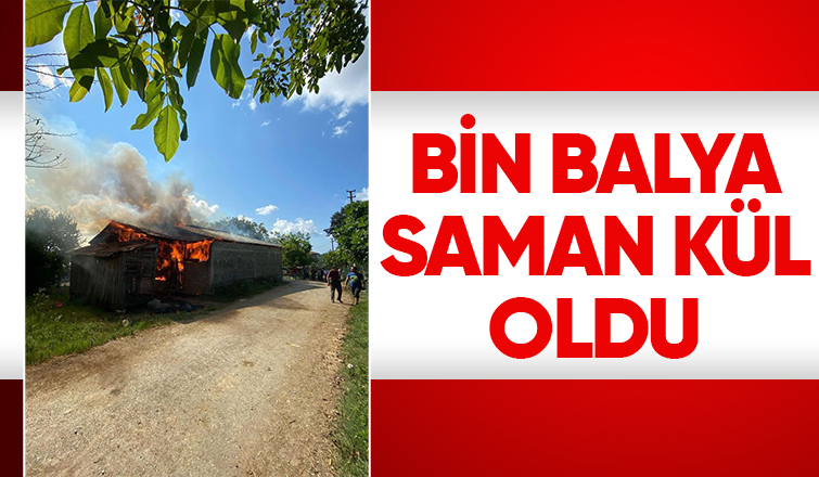 Samanlıkta çıkan yangında bin balya kül oldu