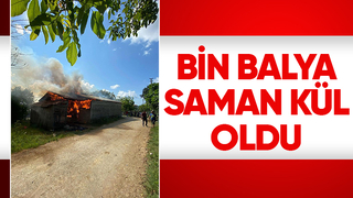 Samanlıkta çıkan yangında bin balya kül oldu