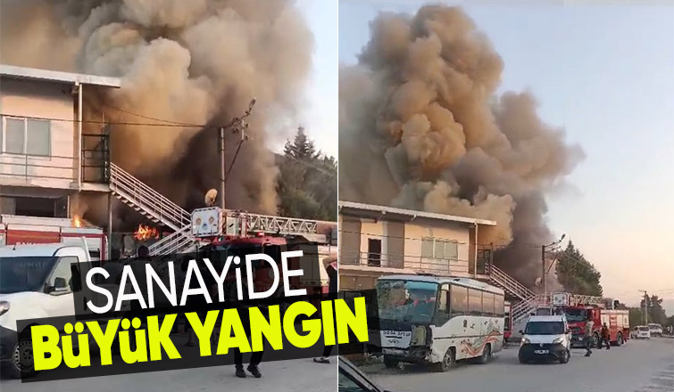 Sanayide yangın; Alevlere teslim oldu