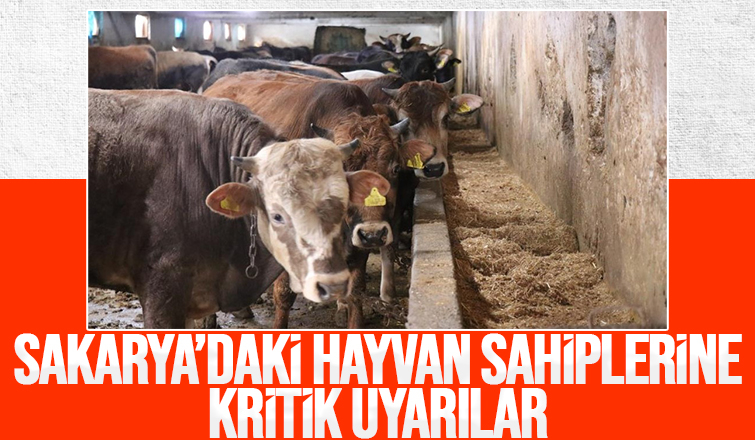 Şap alarmı; Yasağa uymayana 46 bin 159 lira ceza kesilecek