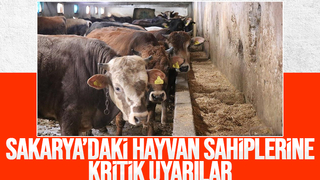 Şap alarmı; Yasağa uymayana 46 bin 159 lira ceza kesilecek