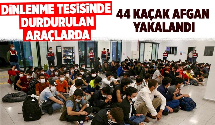 Sapanca'da 44 kaçak Afgan göçmen yakalandı