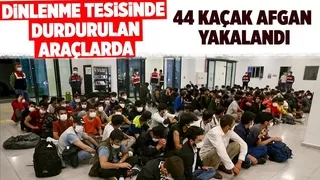 Sapanca'da 44 kaçak Afgan göçmen yakalandı