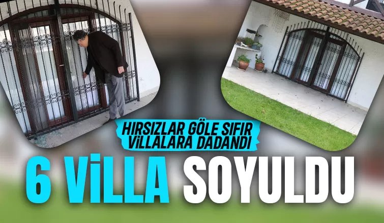 Sapanca'da 6 villayı soydular