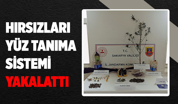 Sapanca'da hırsızlık operasyonu