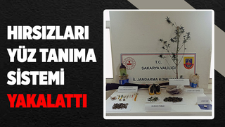 Sapanca'da hırsızlık operasyonu