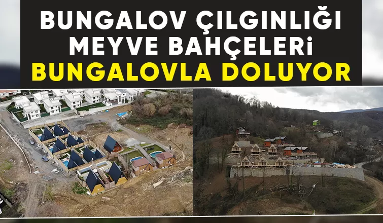 Sapanca'da önüne gelen arsasına, tarlasına bungalov yapıyor