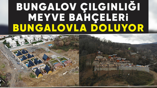 Sapanca'da önüne gelen arsasına, tarlasına bungalov yapıyor