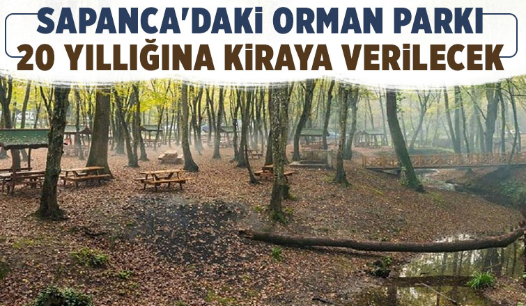 Sapanca'da orman parkı kiraya verilecek