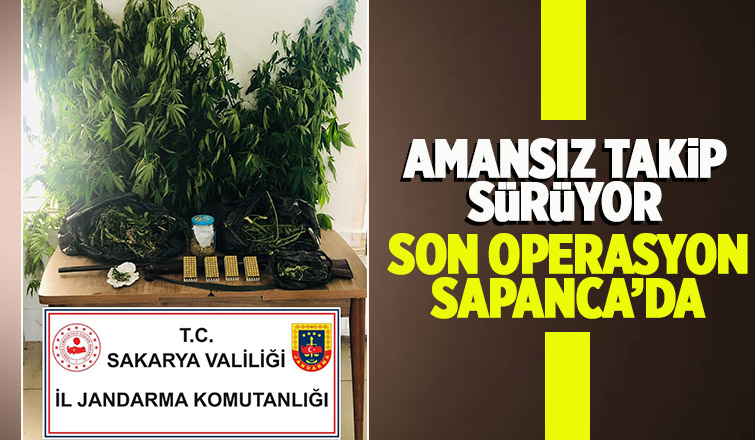 Sapanca'da uyuşturucu operasyonu