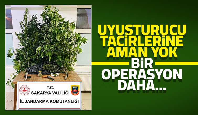 Sapanca'da uyuşturucu operasyonu