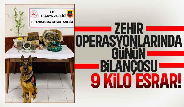 Sapanca'da zehir operasyonu