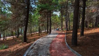 Sapanca Gölü kenarında eşsiz proje kapılarını açtı