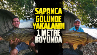 Sapanca Gölü'nde 1 metre boyunda sazan yakalandı