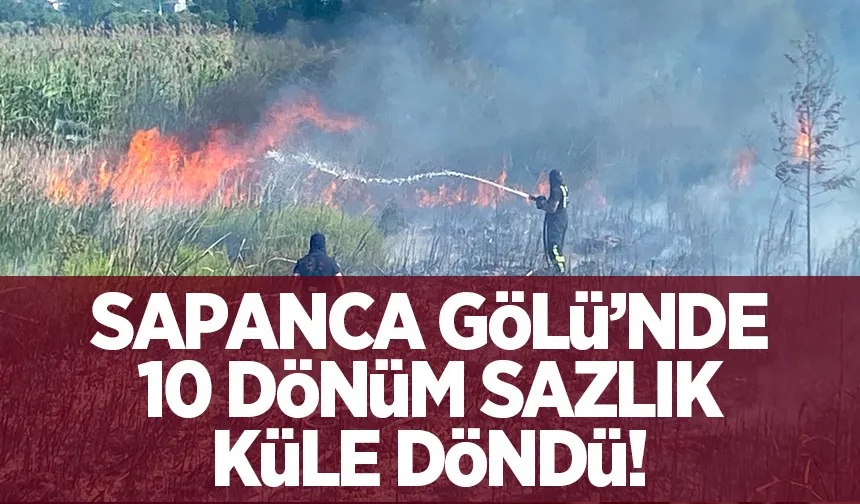 Sapanca Gölü'nde 10 dönüm sazlık yandı