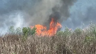 Sapanca Gölü'nde 10 dönüm sazlık yandı