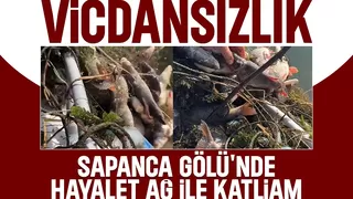 Sapanca Gölü'nde balık katliamı