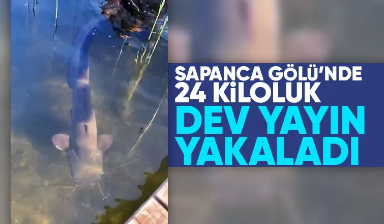 Sapanca Gölü'nde dev yayın yakaladı