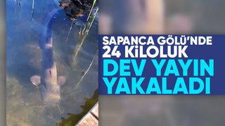 Sapanca Gölü'nde dev yayın yakaladı