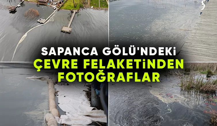 Sapanca Gölü'nde felaket; Bir kısmı akaryakıta bululandı