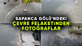 Sapanca Gölü'nde felaket; Bir kısmı akaryakıta bululandı