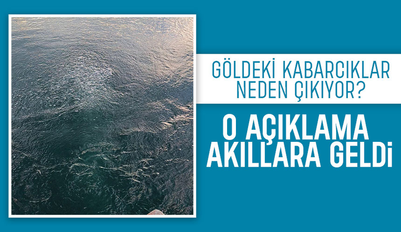 Sapanca Gölü'nde kaydedilen kabarcıklar gizemini koruyor